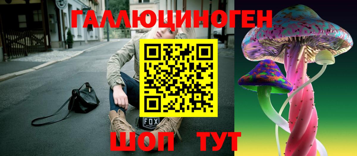 Псилоцибиновые грибы GOLDEN TEACHER  наркошоп  Вход с VPN  Благовещенск  Псилоцибиновые грибы GOLDEN TEACHER 