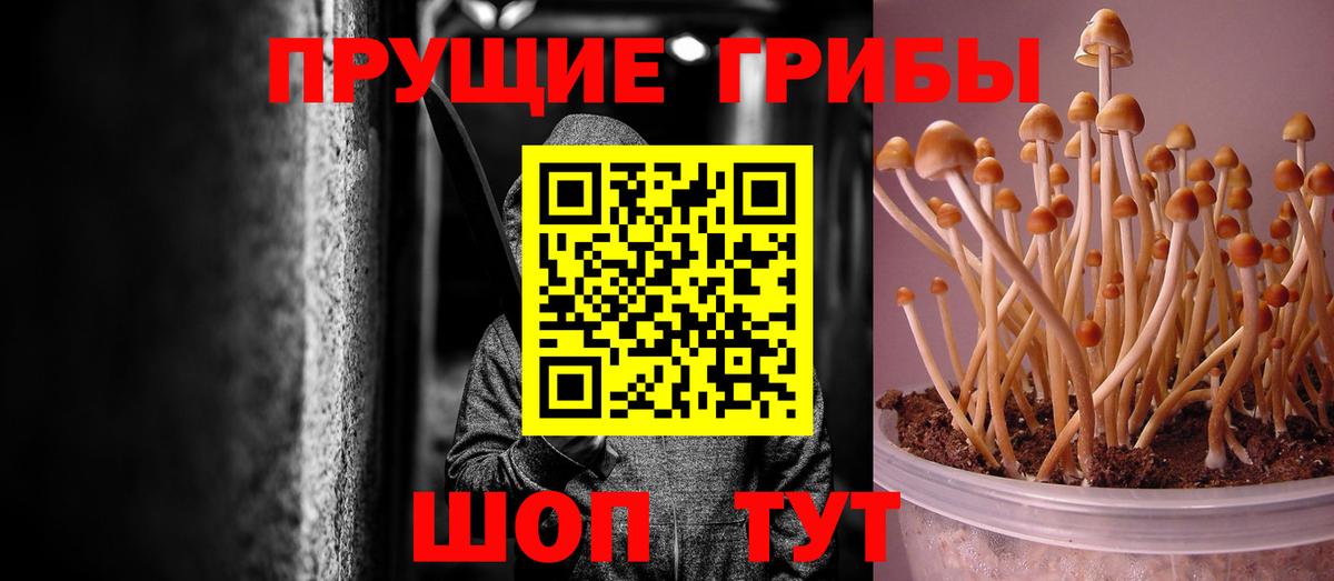Галлюциногенные грибы GOLDEN TEACHER Благовещенск